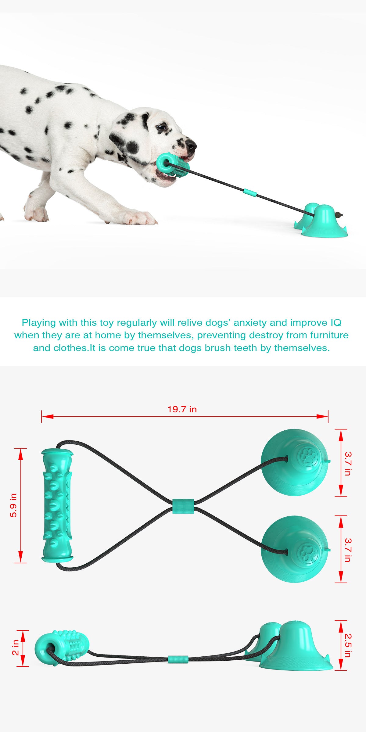 Double suction cup pull dog toy molar