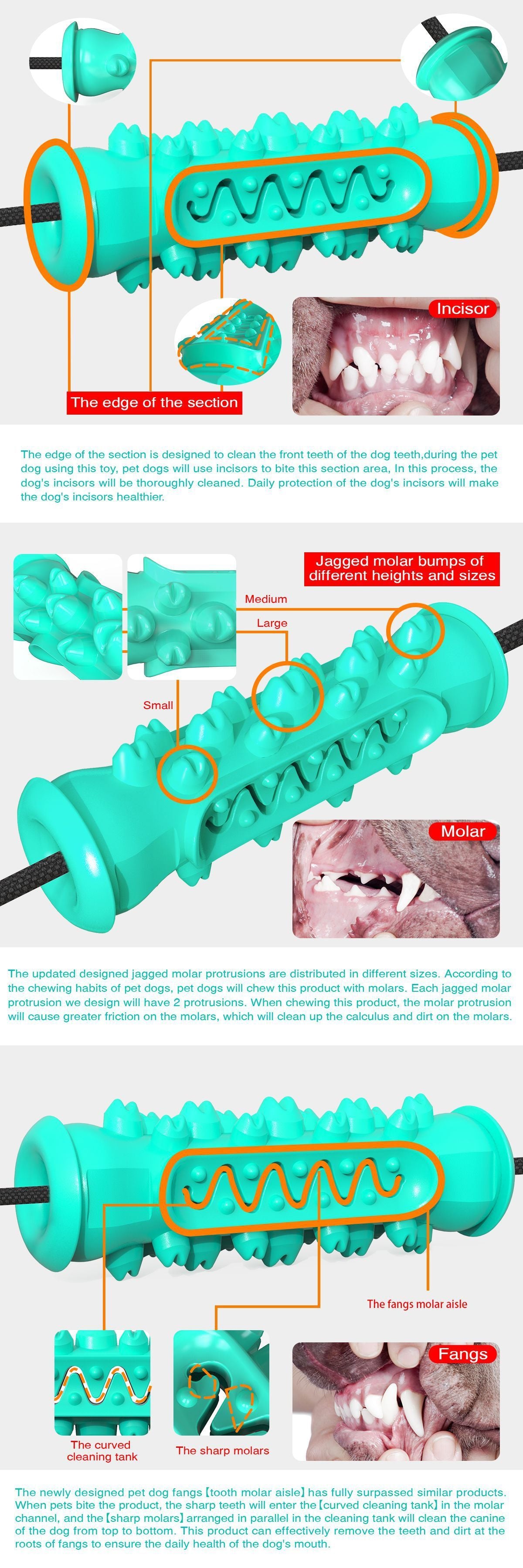 Double suction cup pull dog toy molar